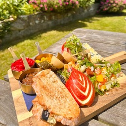 Sandwiches and salad served in the garden